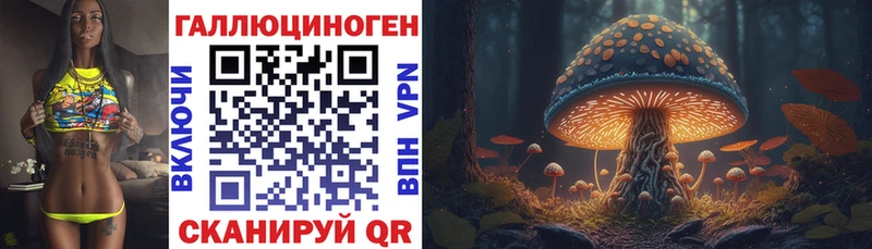 Псилоцибиновые грибы Psilocybine cubensis  Иноземцево 